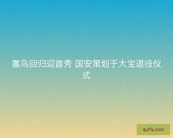 塞鸟回归迎首秀 国安策划于大宝退役仪式